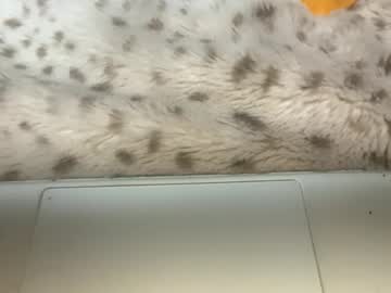 Stream thumbnail 88heygirlhey88