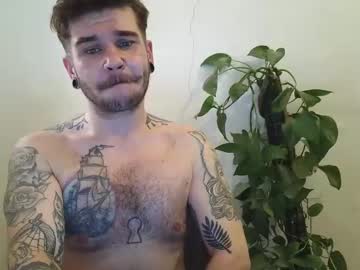 Stream thumbnail bird_0f_hermes