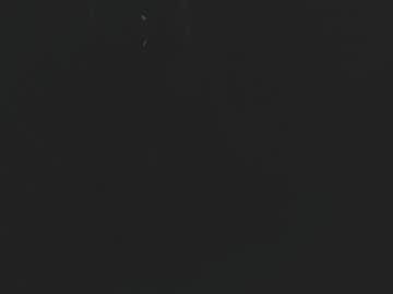 Stream thumbnail majestic_beauty