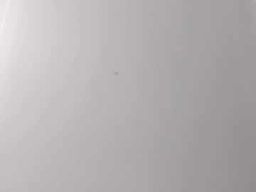 Stream thumbnail miaquevedo