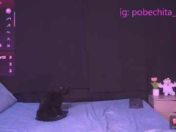 Stream thumbnail pobechita_uwu