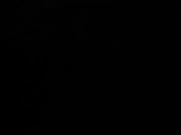 Stream thumbnail thaidancer