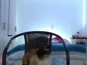 Stream thumbnail trinity_prestige