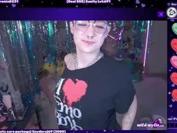 Stream thumbnail wildwylie