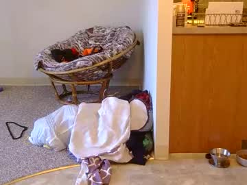 Stream thumbnail x2kayx2